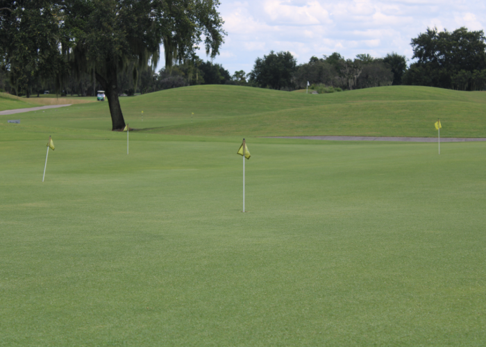 forrest lake putting green